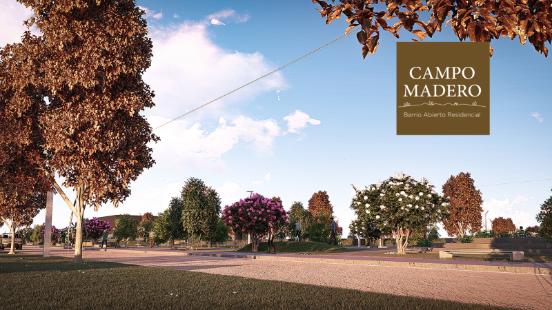Lotes * Campo Madero * Ibarlucea