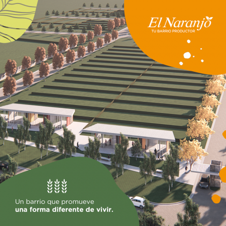 LOTES * EL NARANJO * IBARLUCEA